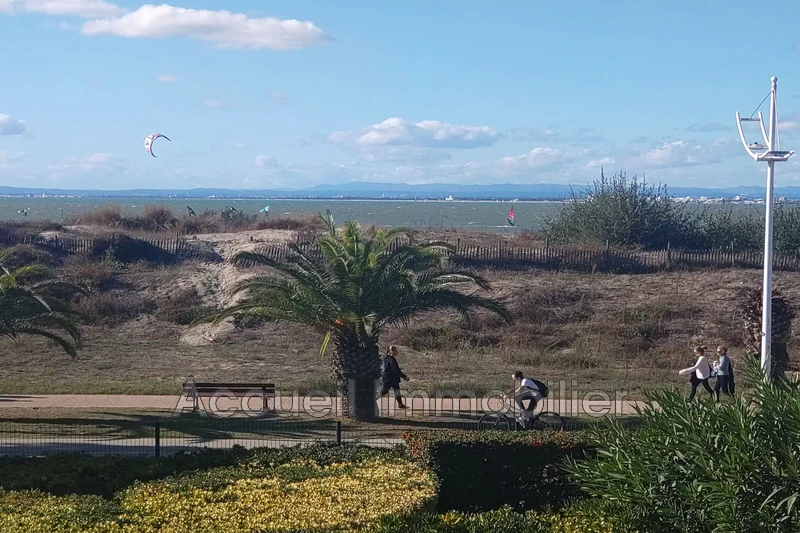 Photo Appartement Port-Camargue Plage nord, achat appartement 2 pièces 40 m²
