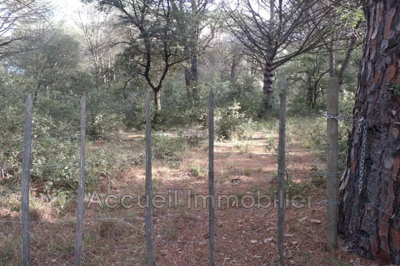 Photo Terrain non constructible Beauvoisin Beauvoisin,   achat terrain non constructible   10000&nbsp;m&sup2;