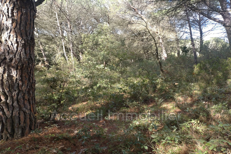 Vente terrain non constructible Beauvoisin  