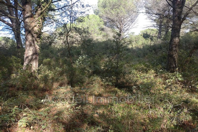 Vente terrain non constructible Beauvoisin  