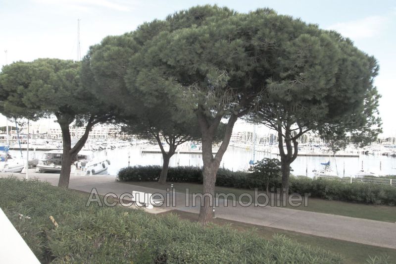 Photo Dernier étage Port-Camargue Plage sud, achat dernier étage 1 pièce 25 m²