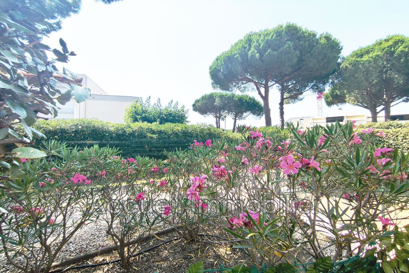 Vente rez-de-jardin Le Grau-du-Roi  