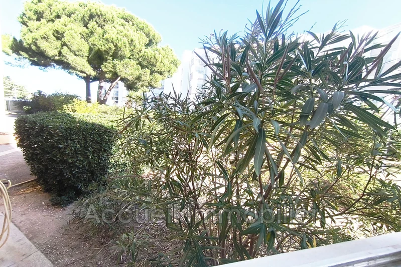 Photo Appartement Le Grau-du-Roi Rive gauche,   achat appartement  1 pièce   24 m²