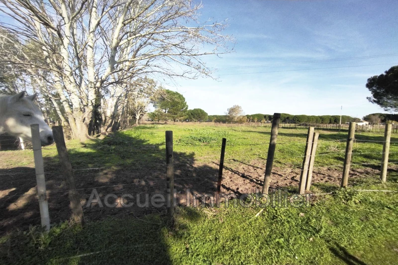 Photo Terrain Aigues-Mortes Corbière, achat terrain 6270 m²