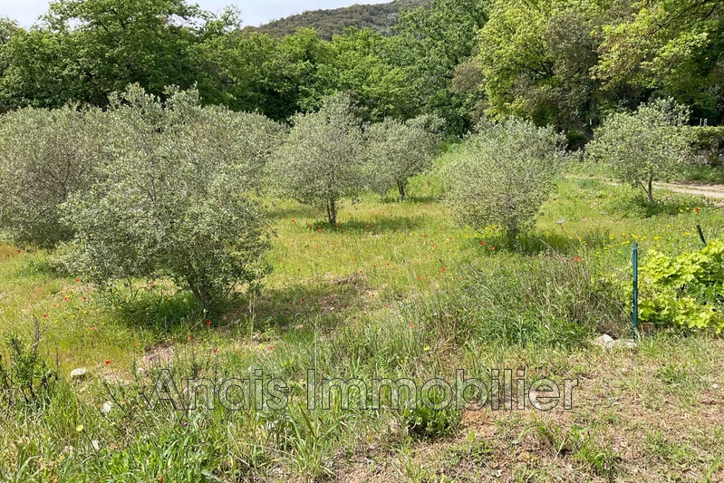 Vente maison Grimaud  
