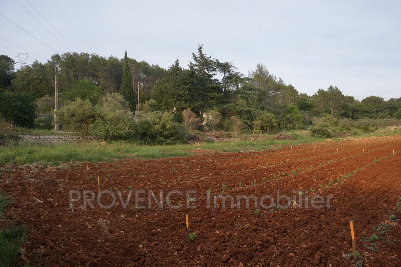 Photo n°8 - Vente Maison bastide Lorgues 83510 - 500 000 €
