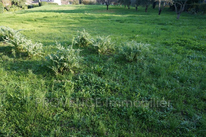 Photo Terrain Salernes achat terrain 1300 m²