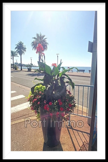 Location saisonnière appartement Cagnes-sur-Mer  