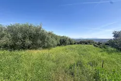Terrain 856 m² · à Saint-Laurent-du-Var · 399 000 €