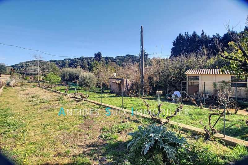 vente Terrain Antibes Les brusquets Terrain Antibes Les brusquets, achat terrain 812 m²