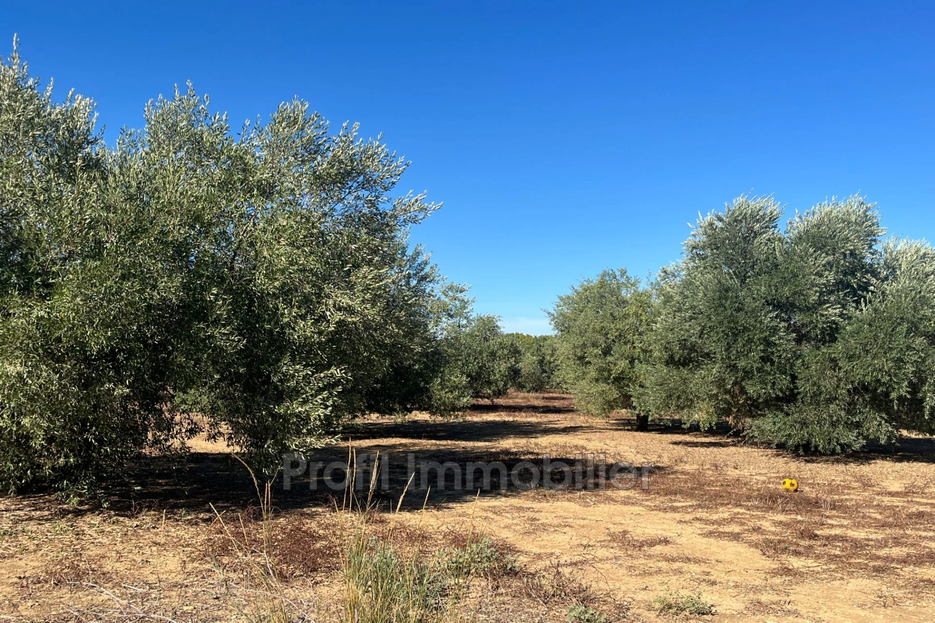 Terrain · à Marsillargues · 289 000 €