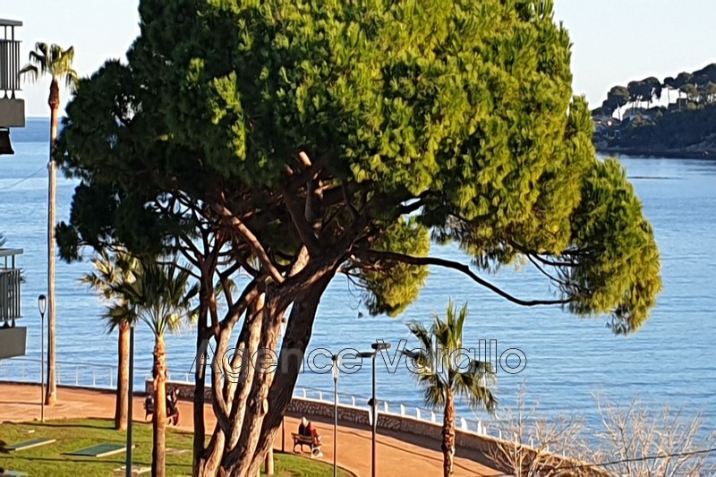 Photo Apartment Antibes Antibes centre, to buy apartment 3 rooms 65 m²