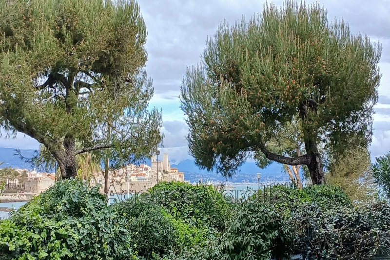vente Appartement Antibes L ilette Appartement Antibes L ilette, achat appartement 1 pièce 22 m²