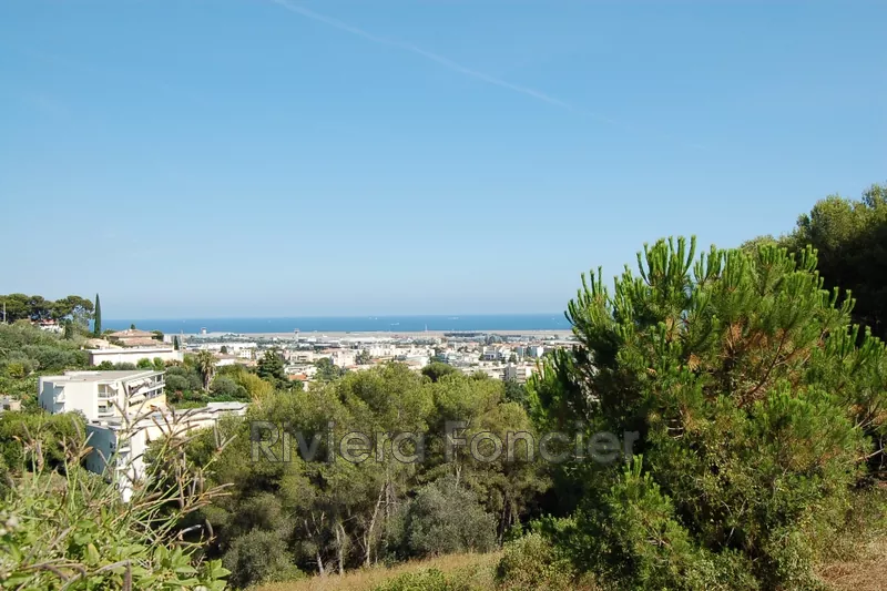 Terrain à bâtir Cagnes-sur-Mer   to buy terrain à bâtir   2500&nbsp;m&sup2;