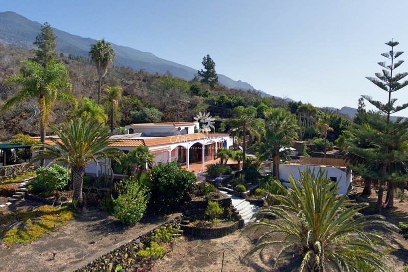 Photo Villa El paso La palma, achat villa 3 chambres 240 m²