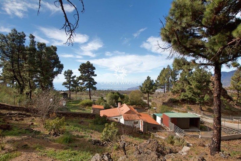 Photo Country house El paso La palma, to buy country house 3 bedroom 75 m²