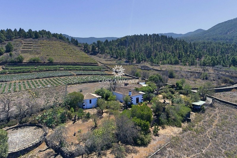 Photo Country house El paso La palma, to buy country house 3 bedroom 195 m²