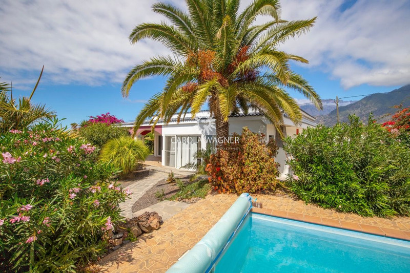 Vente villa Los llanos  