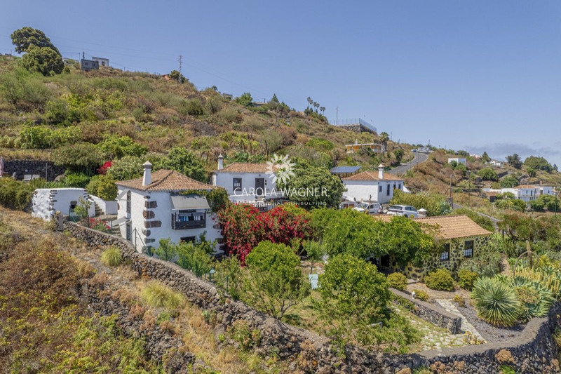 Maison d&#039;hôtes Mazo La palma,   achat maison d&#039;hôtes  4 chambres   251&nbsp;m&sup2;