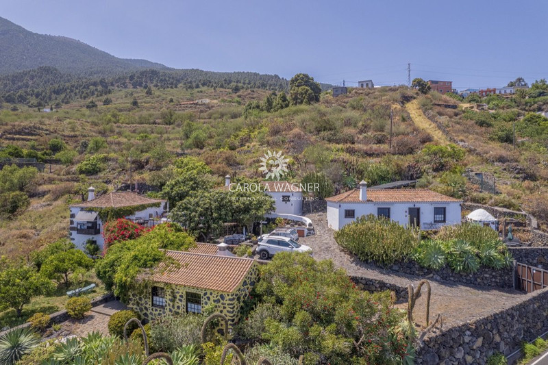 Maison d&#039;hôtes Mazo La palma,   achat maison d&#039;hôtes  4 chambres   251&nbsp;m&sup2;