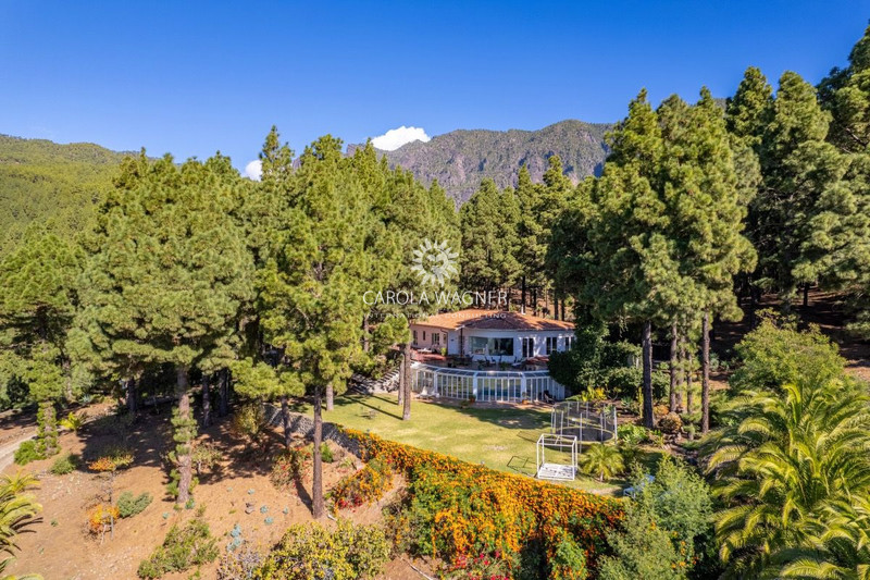 Propriété El Paso La palma,   achat propriété  8 chambres   550&nbsp;m&sup2;