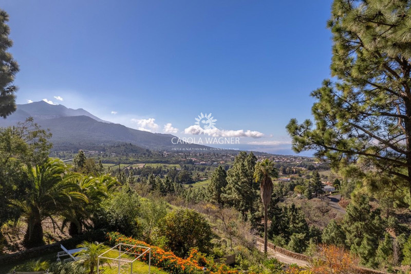 Vente propriété El Paso  
