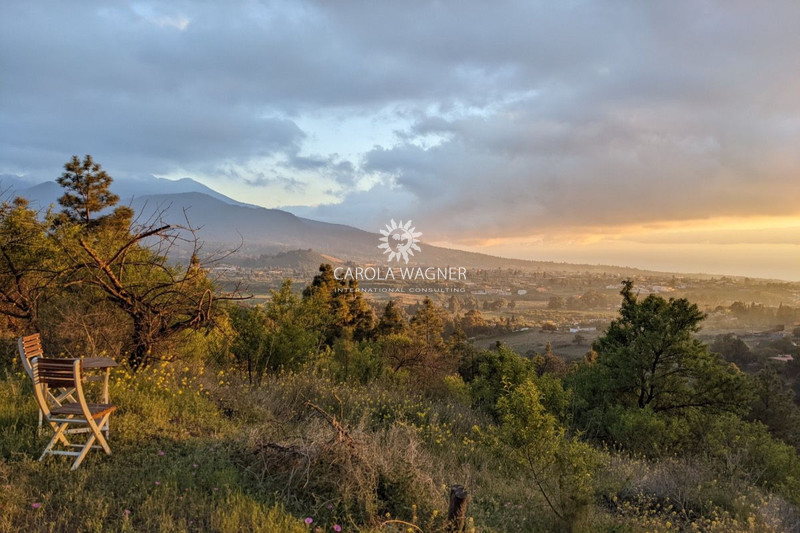 Vente propriété El Paso  