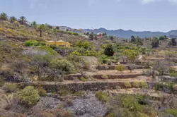 Vente maison de campagne Tijarafe  