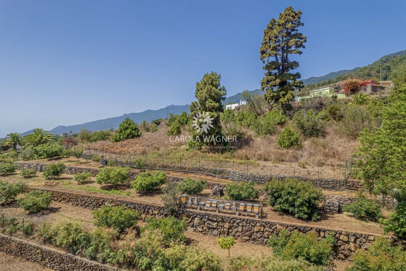 Vente villa Santa Cruz de La Palma  