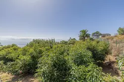 Vente villa Santa Cruz de La Palma  