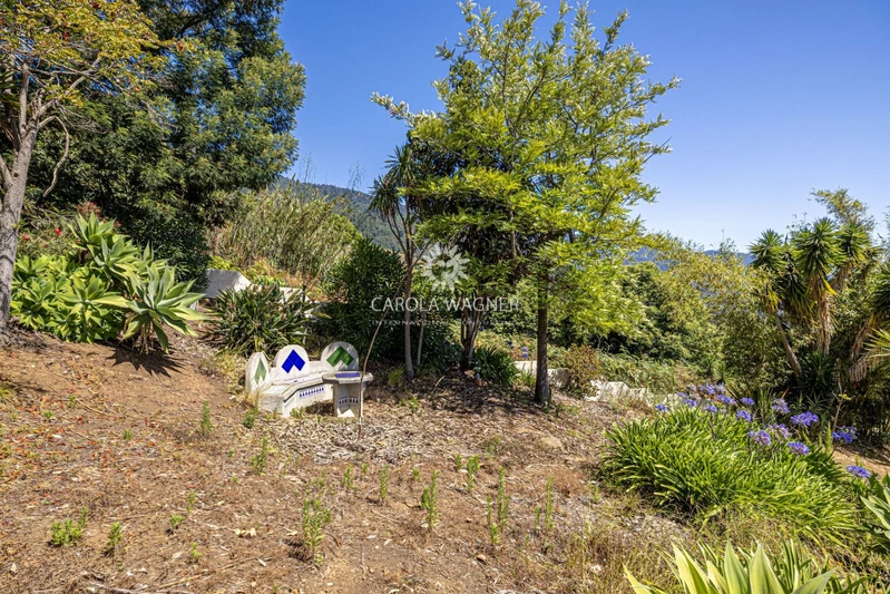 Vente maison de campagne Brena Baja  