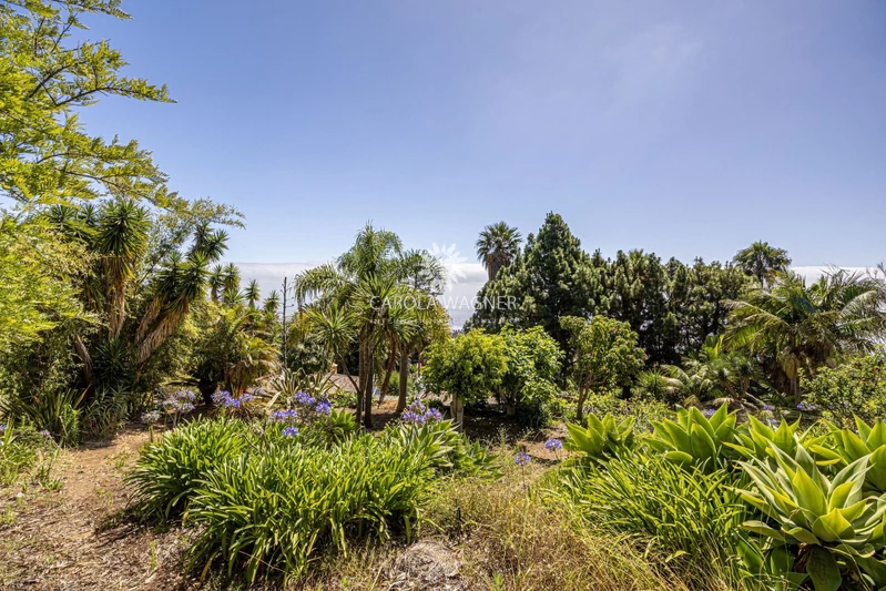 Vente maison de campagne Brena Baja  