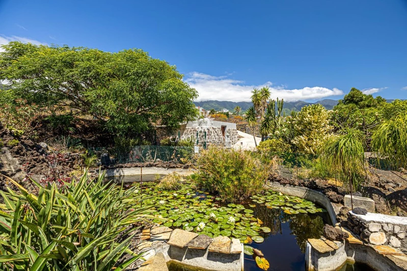 Vente maison de campagne Brena Baja Vente maison de campagne Brena Baja