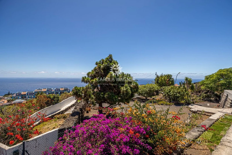 Vente maison de campagne Brena Baja Vente maison de campagne Brena Baja