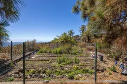 Vente maison de campagne Brena Baja  