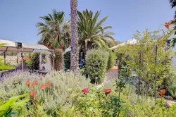 Vente maison de village El Paso Vente maison de village El Paso