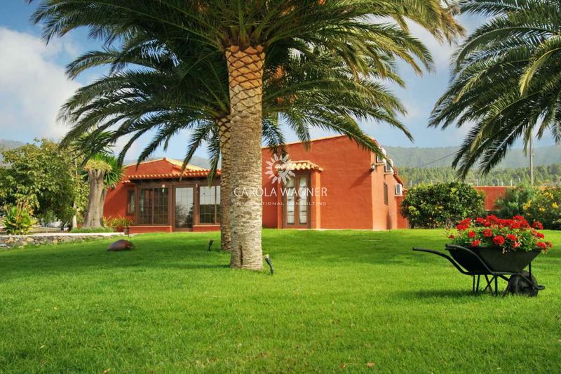 Photo Villa El paso La palma iles canaries, achat villa 3 chambres 145 m²