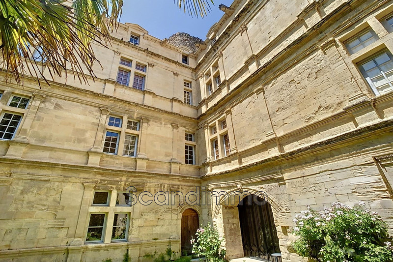 Photo Château Bagnols-sur-Cèze 30,   to buy château  10 bedroom   480&nbsp;m&sup2;