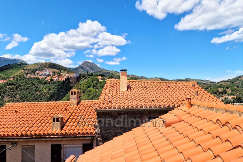 Photo Maison de village Banyuls-sur-Mer 34,   achat maison de village  1 chambre   76&nbsp;m&sup2;