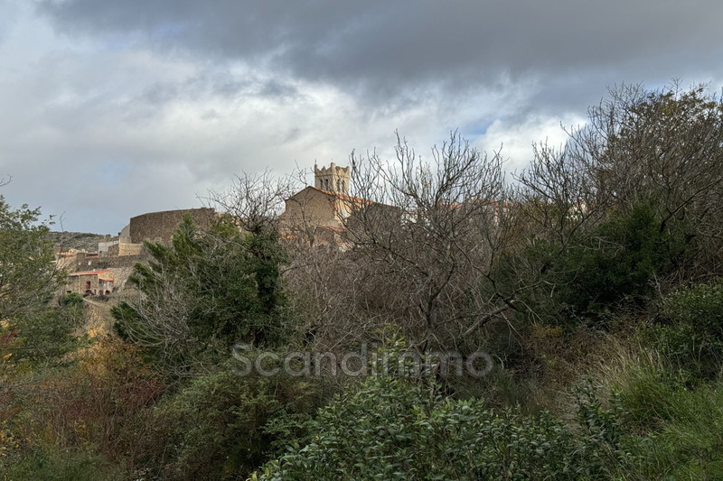 Vente maison Latour-de-France  