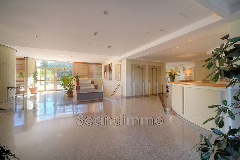 Vente appartement Mandelieu-la-Napoule  