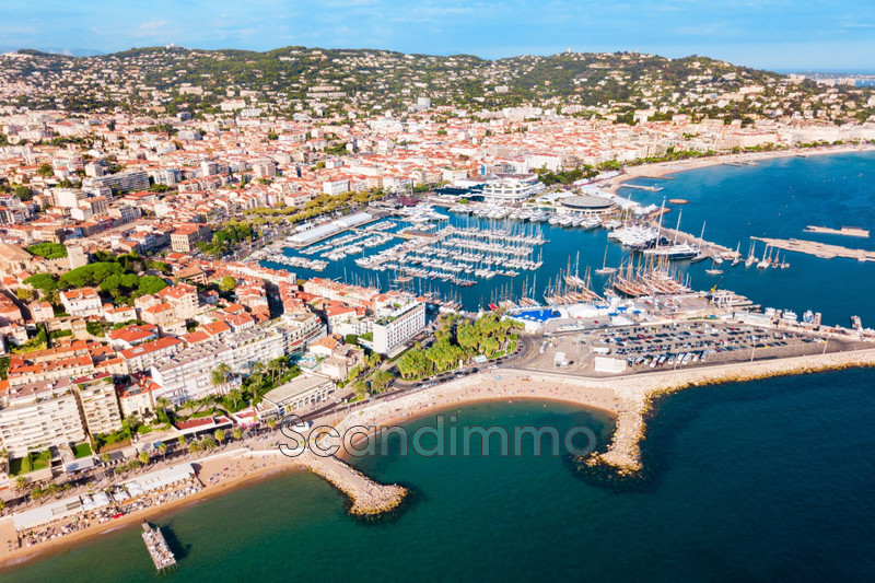 Photo Immeuble Cannes 06, achat immeuble 376 m²