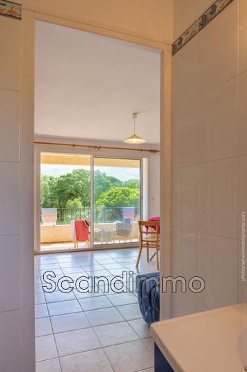 Vente appartement Pietracorbara  