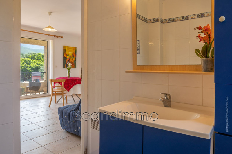 Vente appartement Pietracorbara  
