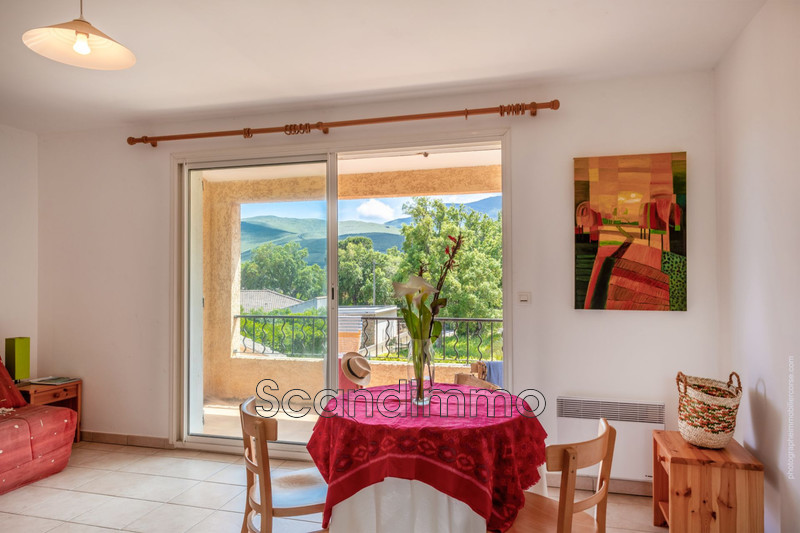 Vente appartement Pietracorbara  