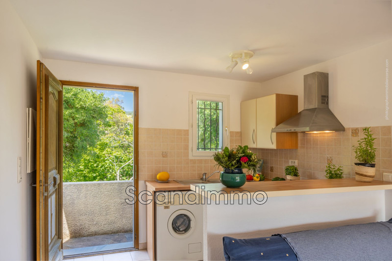 Vente appartement Pietracorbara  