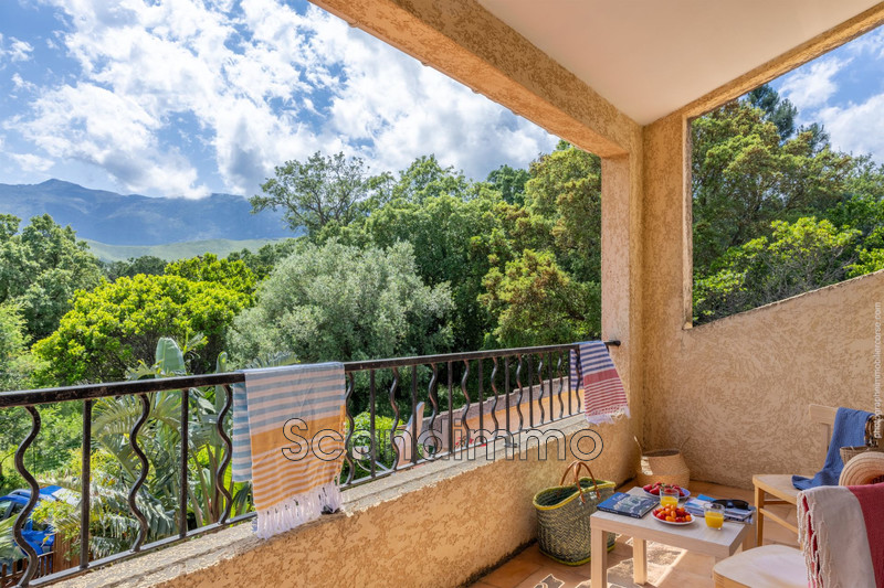 Vente appartement Pietracorbara  