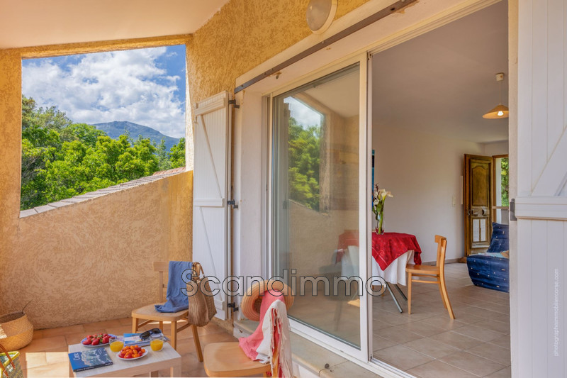 Vente appartement Pietracorbara  