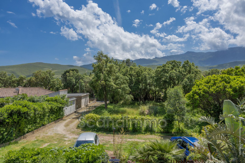 Vente appartement Pietracorbara  