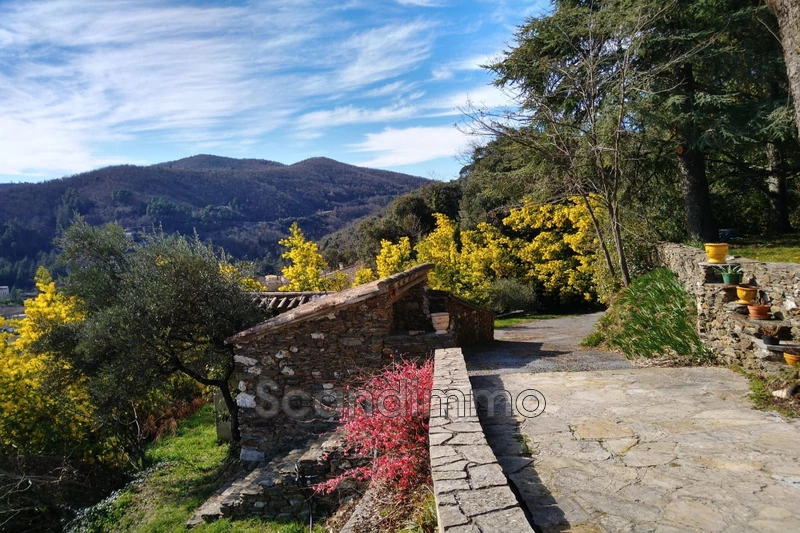 Photo Maison Sumène 30,   achat maison  4 chambres   199&nbsp;m&sup2;